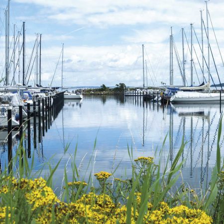 Bild des Hafens Gelting Mole