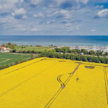 Luftaufnahme mit Maisfeld und Blick über unser Fähr-Café und anliegenden Hafen